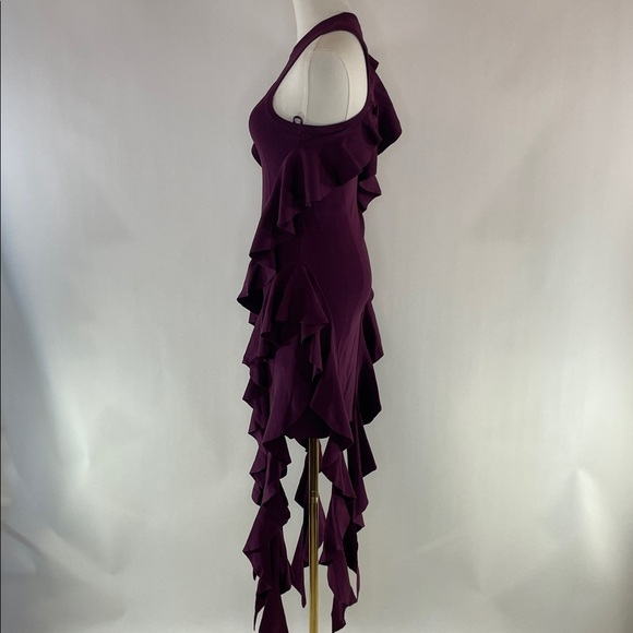 SIMKHAI Wilda Ruffle Dress, XS - Picture 12 of 13